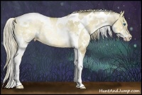 Horse Color:White Spotted Liver Red Dun Ice Pearl Splash Tobiano Rabicano