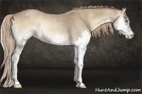 Horse Color:Red Onyx Roan Splash 