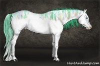 Horse Color:Watercolor Bay Ice Roan Splash