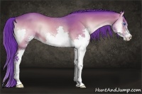Horse Color:Watercolor Brown Roan Onyx Splash 