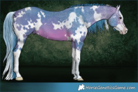 Horse Color:Watercolor White Spotted Bay Splash