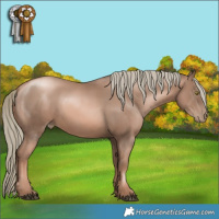 Horse Color:Liver Chestnut Pearl Mushroom Rabicano