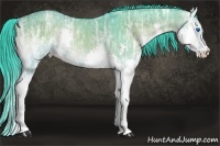 Horse Color:Watercolor Smoky Grullo Ice Onyx Splash