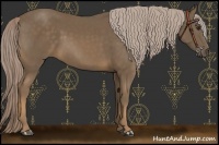 Horse Color:Chocolate Palomino 