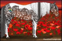 Horse Color:Brown Sabino Tobiano Snowflake Varnish