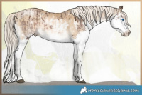 Horse Color:White Spotted Liver Chestnut Mushroom Splash  and White Spotted Chocolate Palomino Pearl Mushroom Splash 