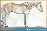 Horse Color:White Spotted Liver Chestnut Mushroom Splash  and White Spotted Chocolate Palomino Pearl Mushroom Splash 