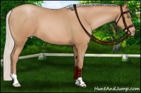 Horse Color:Silver Bay Pearl 