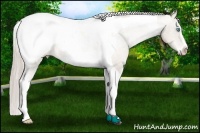 Horse Color:Chocolate Palomino Pearl Sabino Tobiano Snowcap 