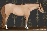 Horse Color:Bay Roan Pearl Rabicano
