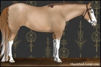Horse Color:Liver Chestnut Pearl Splash 