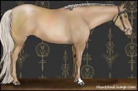 Horse Color:Silver Brown Pearl 