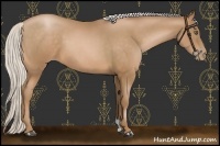 Horse Color:Silver Brown Pearl