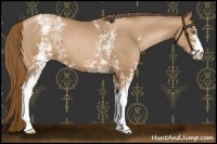 Horse Color:White Spotted Liver Chestnut Pearl 