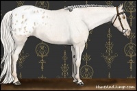 Horse Color:Silver Blue Roan Pearl Appaloosa 