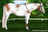 Horse Color:White Spotted Silver Brown Rabicano 