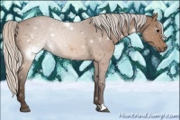 Horse Color:Silver Brown 