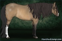 Horse Color:Brown Dun Rabicano 