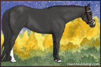 Horse Color:Smoky Black 