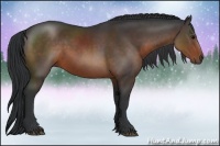 Horse Color:Brown Sabino Rabicano