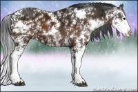 Horse Color:Brown Ice Sabino Splash 