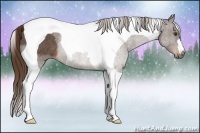 Horse Color:Liver Chestnut Tobiano Rabicano 