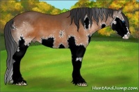 Horse Color:Brown Splash