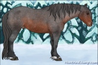 Horse Color:Brown Varnish 