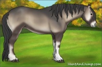 Horse Color:Smoky Blue Onyx