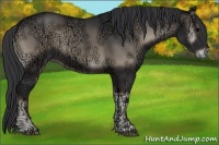 Horse Color:Blue Onyx Ice 