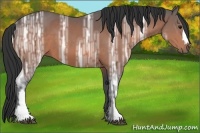 Horse Color:Bay Ice 