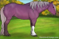 Horse Color:Silver Brown Dun 