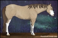 Horse Color:Classic Cream Champagne Sabino