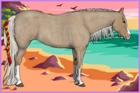 Horse Color:Silver Buckskin Roan Splash