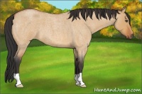 Horse Color:Bay Roan Dun 
