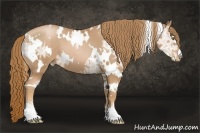 Horse Color:White Spotted Chestnut Ice Pearl Sabino