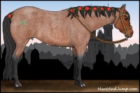 Horse Color:Bay Roan 