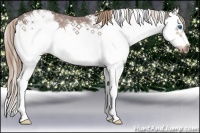 Horse Color:Chocolate Buckskin Sabino Splash Frame Appaloosa Rabicano 