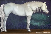 Horse Color:Chocolate Silver Grullo Chinchilla Ice Onyx Sabino Brindle 