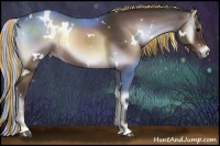 Horse Color:Painted White Spotted Silver Brown Onyx Sabino 