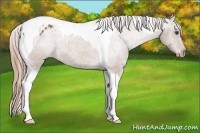 Horse Color:Chestnut Tobiano Varnish 