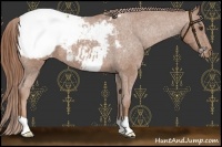 Horse Color:Chestnut Snowcap 