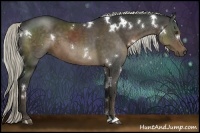 Horse Color:White Spotted Liver Chestnut Sabino 