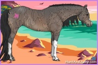 Horse Color:Buckskin Ice 