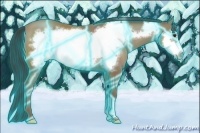 Horse Color:Thunderstruck Classic Champagne Frame 