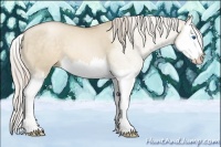 Horse Color:Chocolate Palomino Pearl Dun Splash 