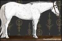 Horse Color:Chocolate Palomino Snowcap 