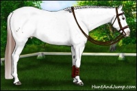 Horse Color:Red Roan Frame Snowcap 