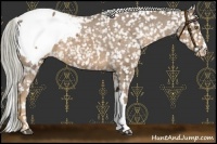 Horse Color:Chocolate Palomino Snowcap 
