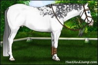 Horse Color:Black Splash Snowcap 